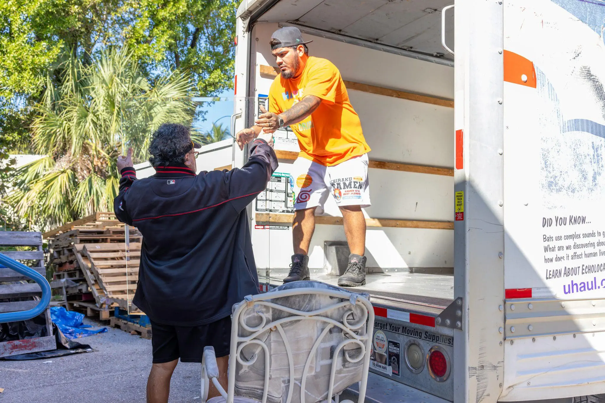 Furniture Distribution
