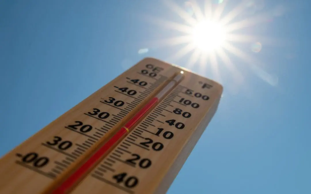 Checking In, Cooling Down: FISH Keeps Community Safe in Summer Heat