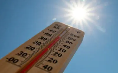 Checking In, Cooling Down: FISH Keeps Community Safe in Summer Heat
