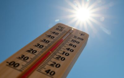 Checking In, Cooling Down: FISH Keeps Community Safe in Summer Heat